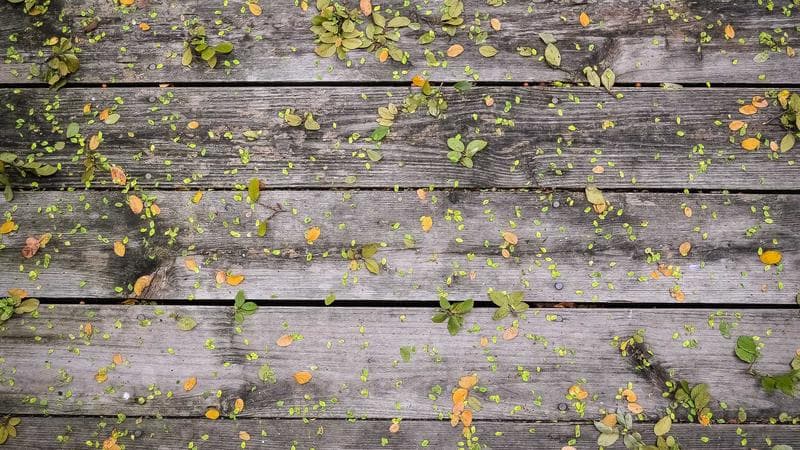 Youth Basketball League Tips Off With Record Registration