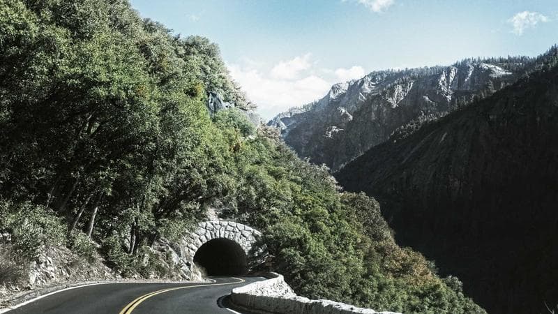 Editorial: Supporting Our Small Business Owners