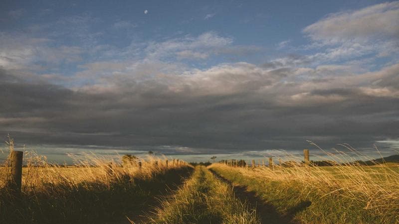 Utah Samoan Community Celebrates Church Anniversary