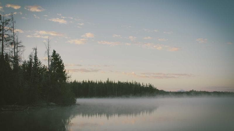 Editorial: Climate Action Cannot Wait