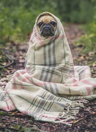 Samoa News - 2025-01-13