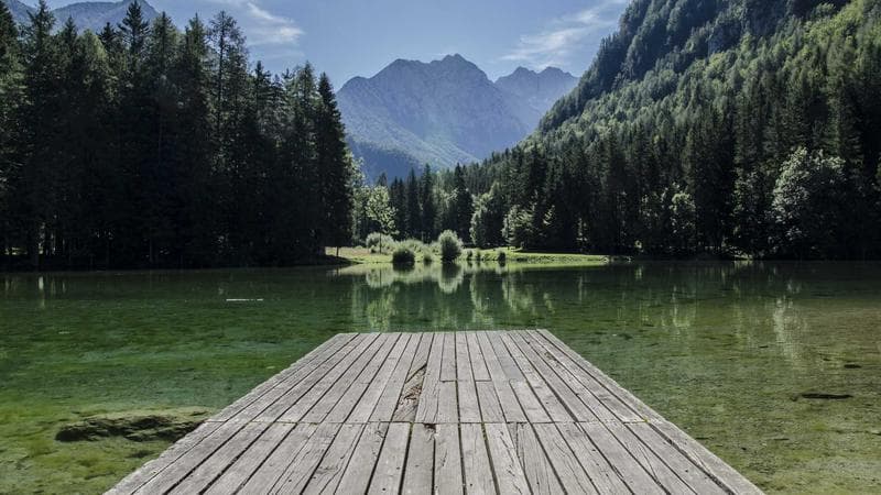 Samoan Diaspora Celebrates Cultural Heritage at Los Angeles Festival