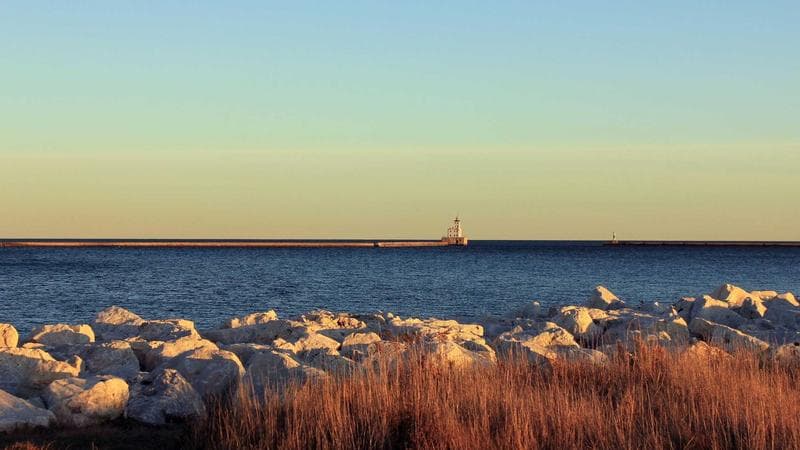 Annual Fishing Tournament Draws Record Catches