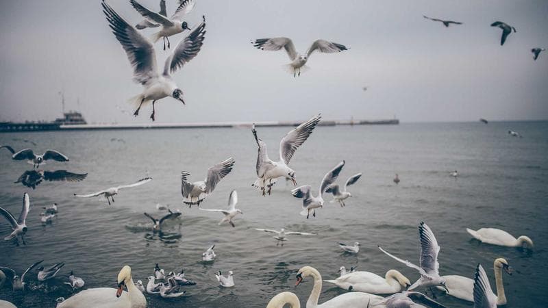 Editorial: Healthcare Access Must Be a Priority