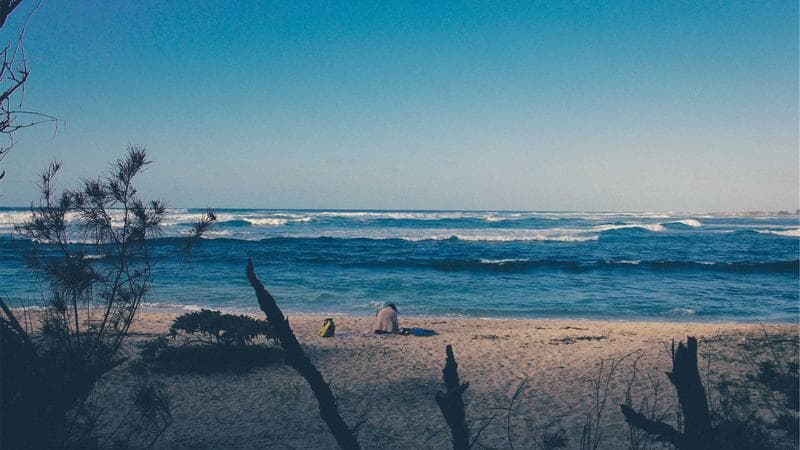American Samoa Rugby Team Prepares for Pacific Games