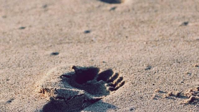 Championship Game Highlights: Tafuna vs Leone