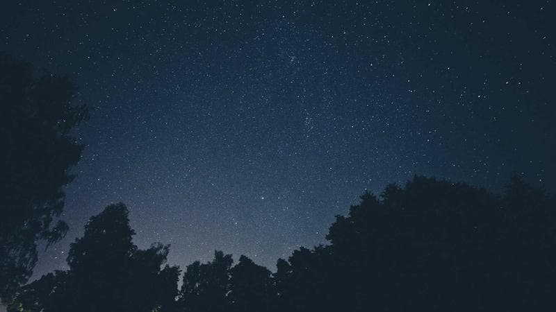 Scientists Monitor Increased Volcanic Activity in Tonga